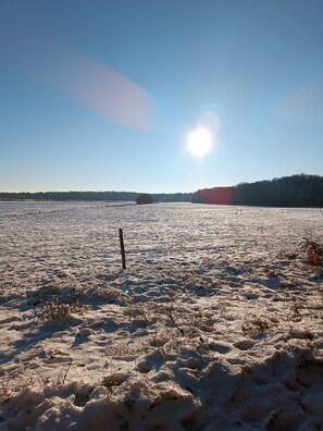 Unclassified image, 5 of 11, button - Apartment 'Ostseestrand' with Balcony, Wi-Fi and Air Conditioning (Prerow)
