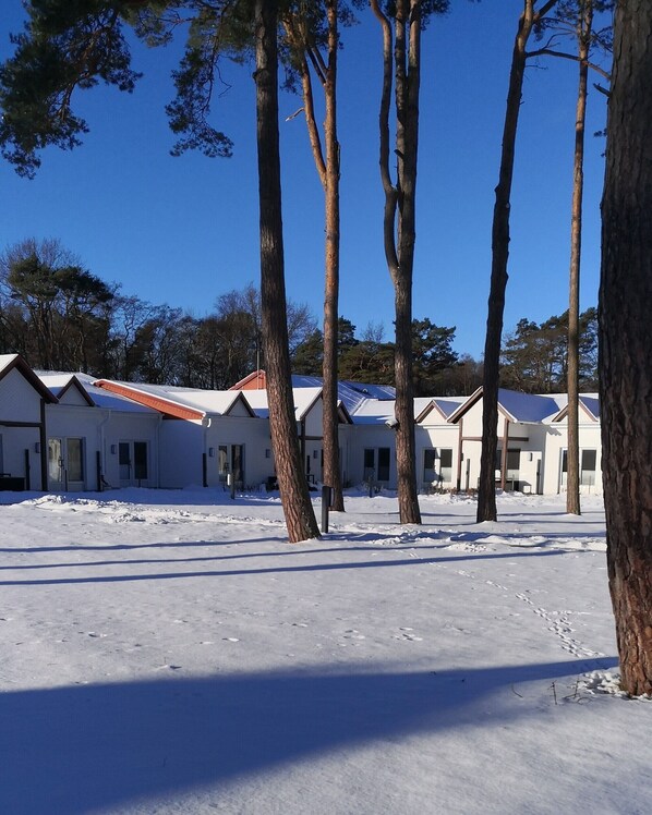 Imagen sin descripción, 1 de 11, botón