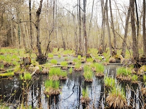 Unclassified image, 2 of 11, button - Apartment 'Ostseetraum' with Private Terrace, Wi-Fi and Air Conditioning (Prerow)