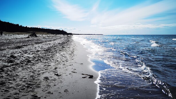 Une plage avec un ciel dégagé, un rivage sablonneux et une mer calme.