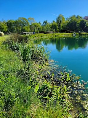 Une étendue d’eau calme, entourée de verdure, sous un ciel dégagé.