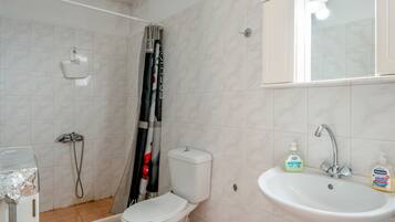 A bathroom with a shower, toilet, sink, and a mirror.
