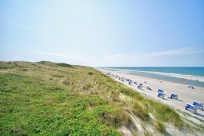 Ein Strand mit Dünen, einem sandigen Ufer und blauem Himmel.