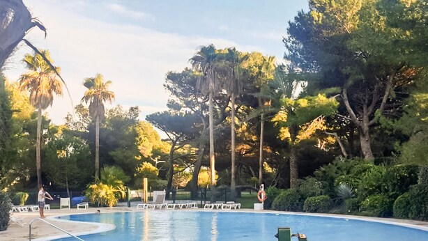 En swimmingpool omgivet af palmer og anden vegetation, med liggestole og en redningskrans.