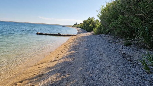 A beach with clear water, pebbles, and greenery along the shore. - Cozy vacation apartment in Smokvica, island of Pag, Dalmatia, Croatia - close to the beach (Smokvica Pag)