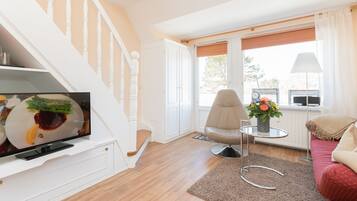 Fernseher, Stereoanlage