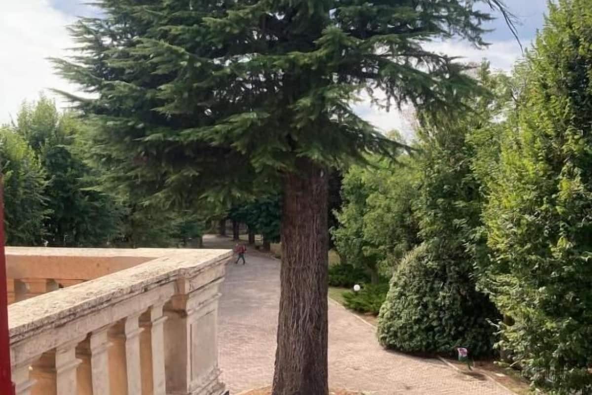 Habitación triple Deluxe, balcón, vistas al jardín