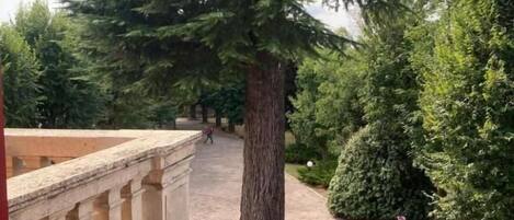 Un sendero de piedra que lleva a un gran árbol, con un edificio de columnas clásicas al fondo.