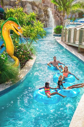 Imagen sin descripción, 5 de 29, botón