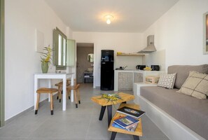 Un ambiente compatto con angolo cottura, zona pranzo con sedie di legno, divano con cuscini e un tavolino con libri.