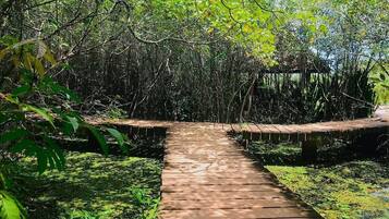 Enceinte de lâhĂ©bergement