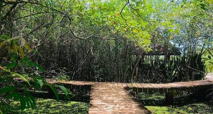 “Luxury 4BR Villa with Sunlit Courtyard – Calm Thalawathugoda Retreat”