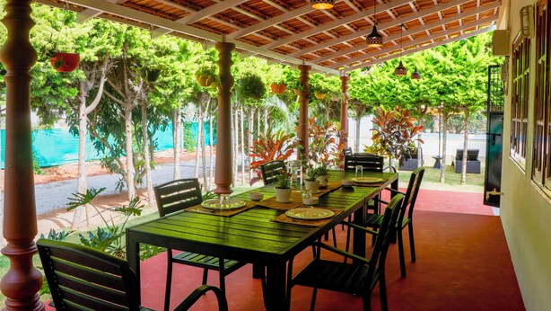 Zona pranzo all'aperto con tavolo e sedie in legno, circondata da piante in vaso e alberi.