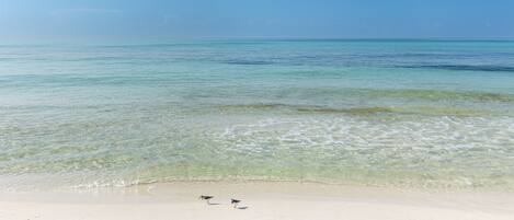 ชายหาด