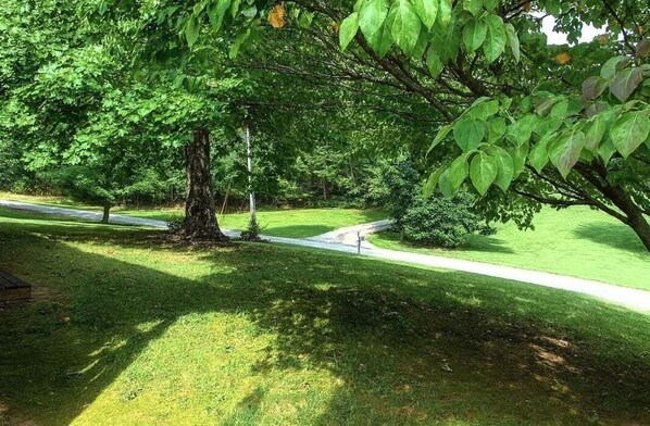 Un parc avec un sentier dallé, une pelouse verdoyante et luxuriante, et des arbres.
