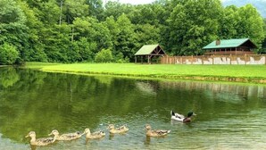 Un lac paisible où nagent des canards, entouré d’une végétation luxuriante et bordé d’un chalet en bois.