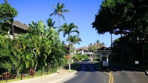 A street lined with tropical vegetation and residential buildings. - Wailea Grand Champion, #78 2 Bedroom Condo (Kihei)