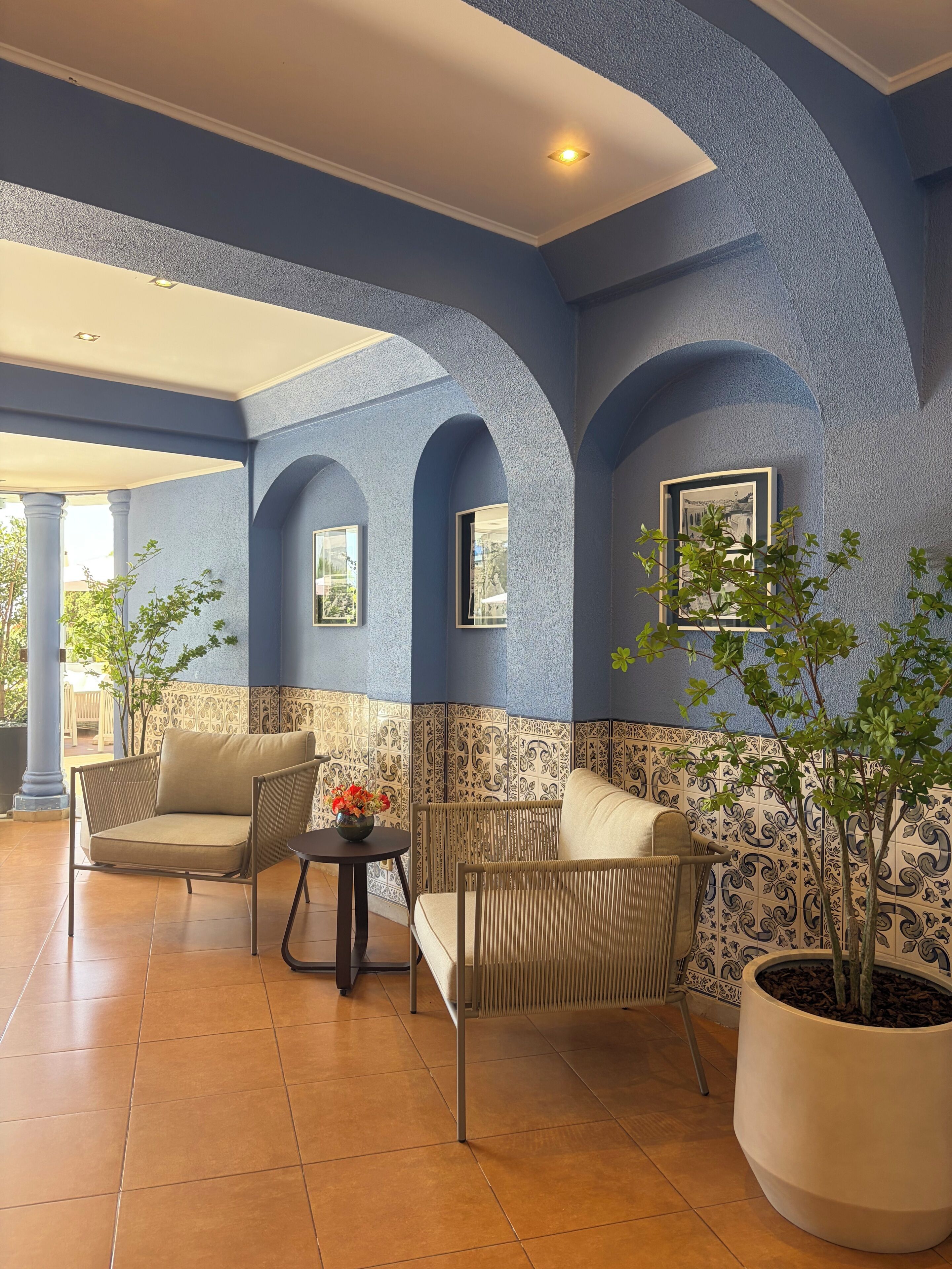 A lobby with blue walls, arched ceilings, and a potted plant.
