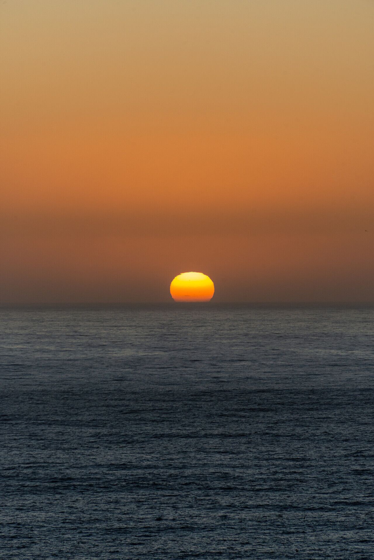 Ein Sonnenuntergang über ruhigem Meer.
