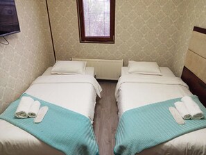 Economy Twin Room, Courtyard View | Seterika/papan seterika 