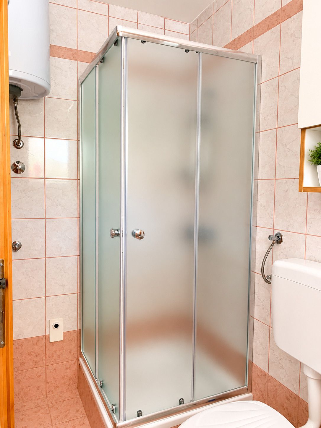 A bathroom with a glass shower enclosure, a white toilet, and a small potted plant on the wall.