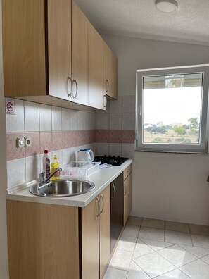 Fridge, microwave, coffee/tea maker, electric kettle - Apartment Vir 3 (Vir)