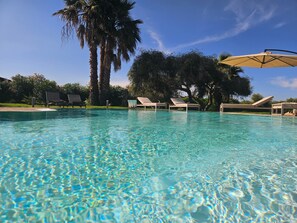 Una piscina cristalina con sillas de descanso y sombrillas, rodeada de palmeras y follaje.