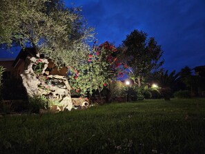 Un jardin agrémenté d’une formation rocheuse, de plantes à fleurs et d’un espace bien éclairé.