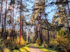 Nicht klassifiziertes Bild, 4 von 20, Schaltfläche