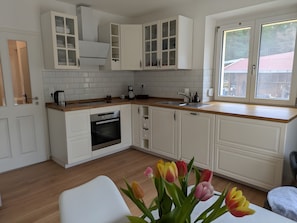 Kühlschrank, Ofen, Herdplatte, Geschirrspüler