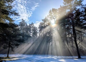 Nicht klassifiziertes Bild, 3 von 20, Schaltfläche