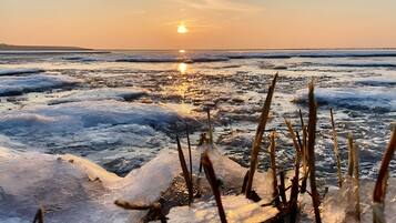 Un paysage hivernal, avec de la glace et de la neige, un coucher de soleil en arrière-plan et quelques plantes au premier plan.