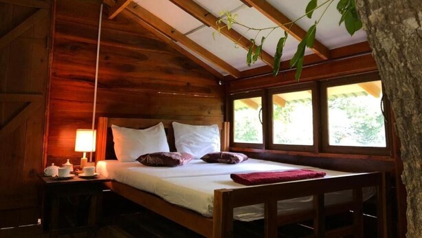 A wooden cabin room with a bed, a nightstand, and a window with a view of greenery.