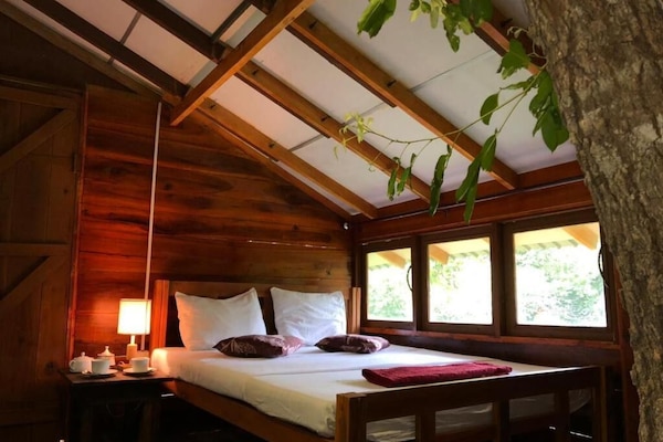 Classic Tree House, Balcony, Courtyard View | Iron/ironing board