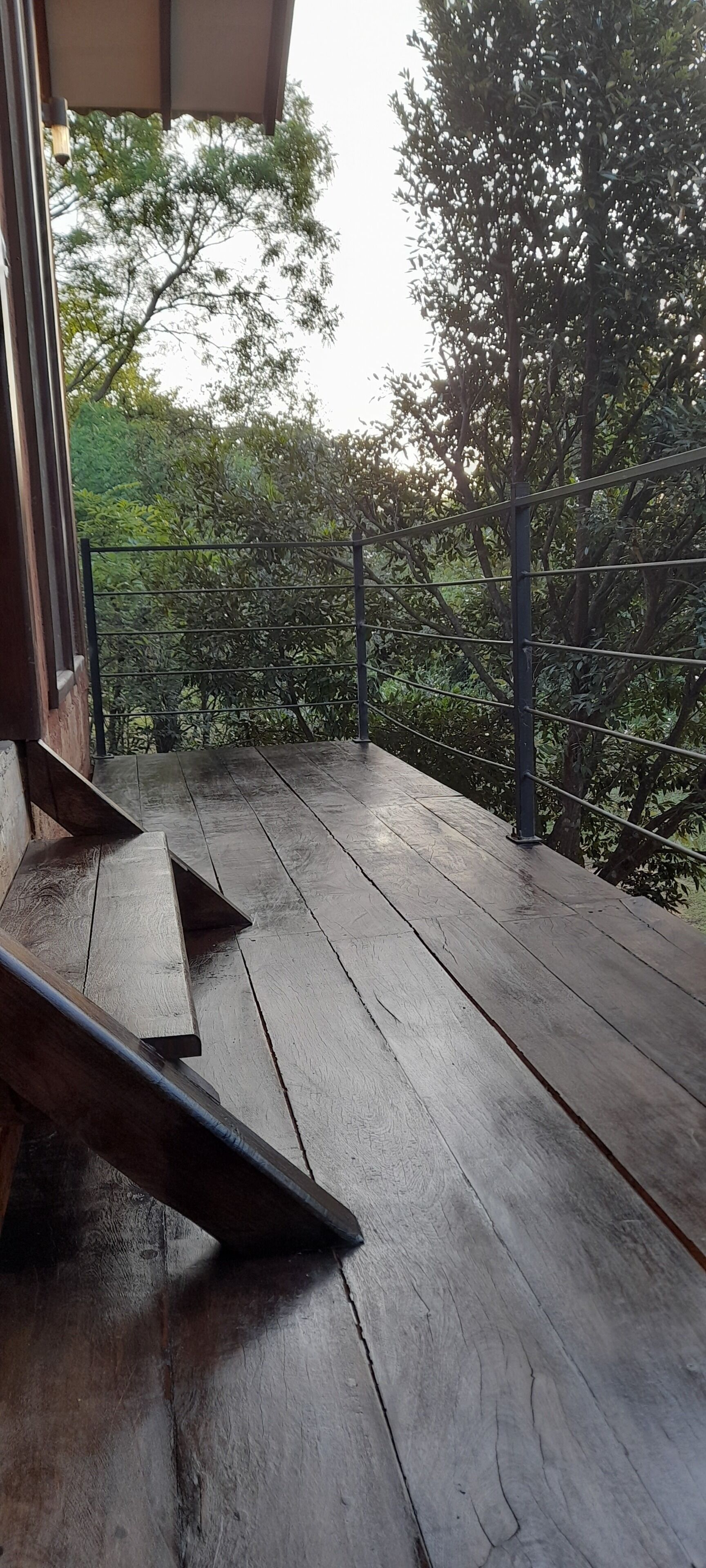 Un pontile in legno con ringhiere metalliche che conduce a una zona verde rigogliosa con alberi.