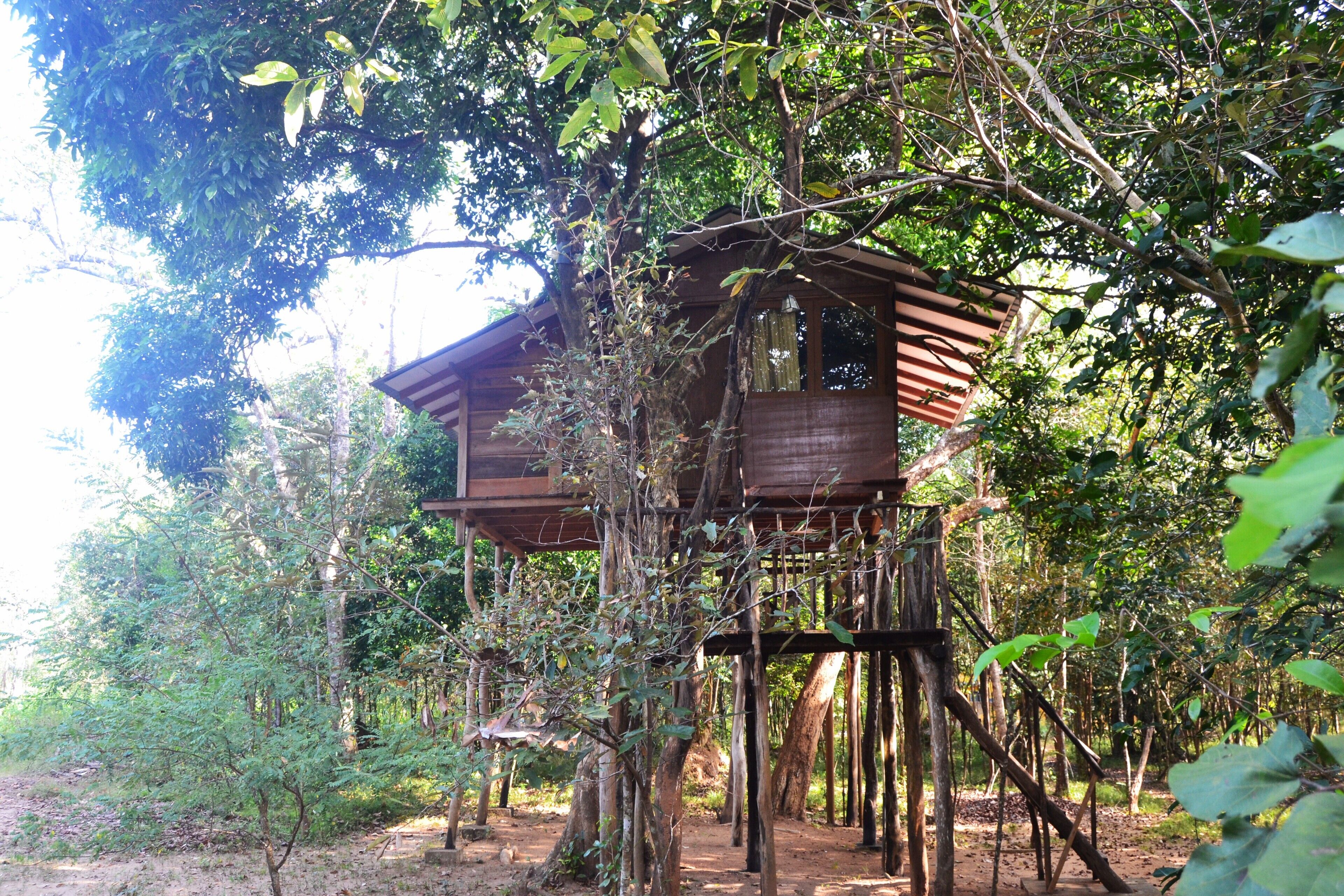 Classic Tree House, Balcony, Courtyard View