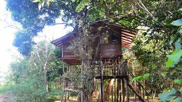 Classic Tree House, Balcony, Courtyard View