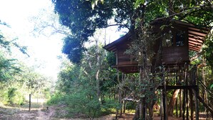A wooden treehouse structure elevated on stilts amidst a forested area with a dirt path leading towards it.