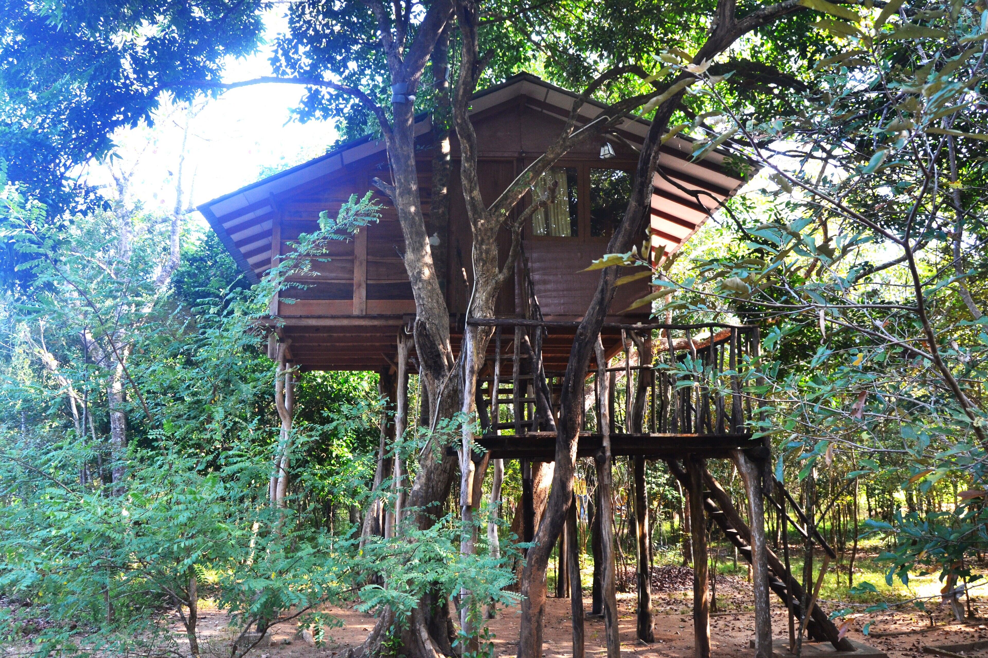 Casa de árbol clásica, balcón, vista al patio | Tabla de planchar con plancha 