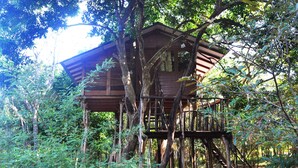 A wooden treehouse with a wooden deck and stairs, surrounded by dense forest.