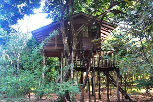 Classic Tree House, Balcony, Courtyard View | Iron/ironing board
