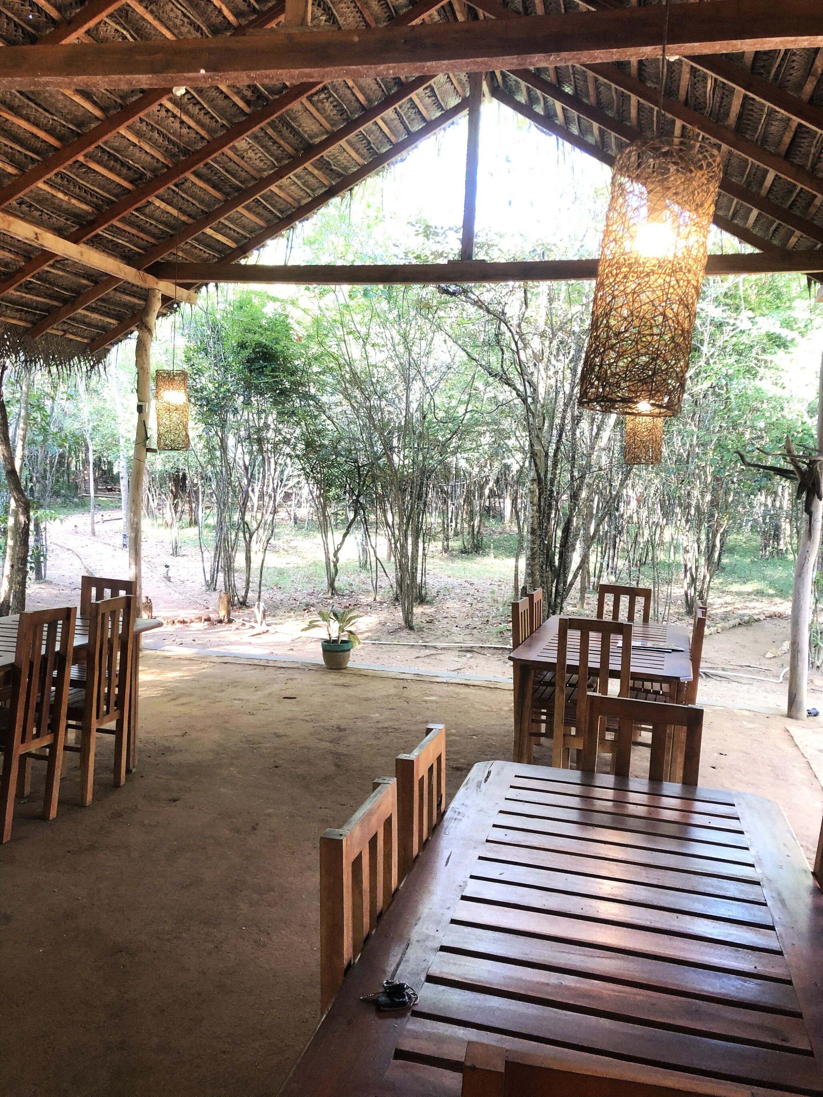 An outdoor dining area with wooden tables and chairs, a thatched roof, and a view of trees.