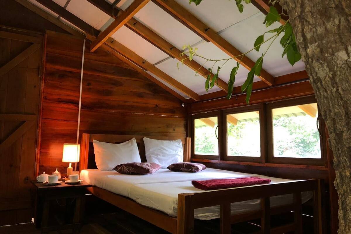 Quarto de cabana de madeira com cama, almofadas, mesa de cabeceira, abajur e janela.