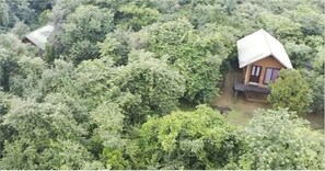 Deluxe Double Room, Balcony, Courtyard View - Sky Forest (Habarana)