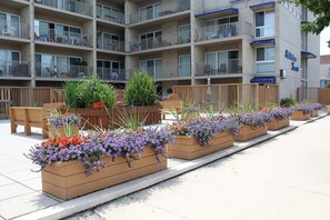 Property grounds - Short Stroll to the beach, boardwalk, stores, and restaurants! (Rehoboth Beach)