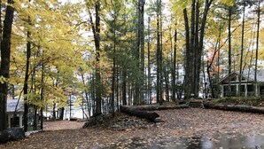 A forested area with a building surrounded by tall trees and a wet ground. - Stepaway Vacation Rentals - Frog Hollow on Finley Lake (St Germain)