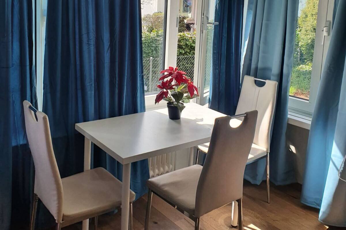 Un coin repas avec une table et des chaises, des rideaux bleus et une plante en pot.