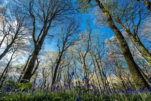 Unclassified image, 4 of 28, button