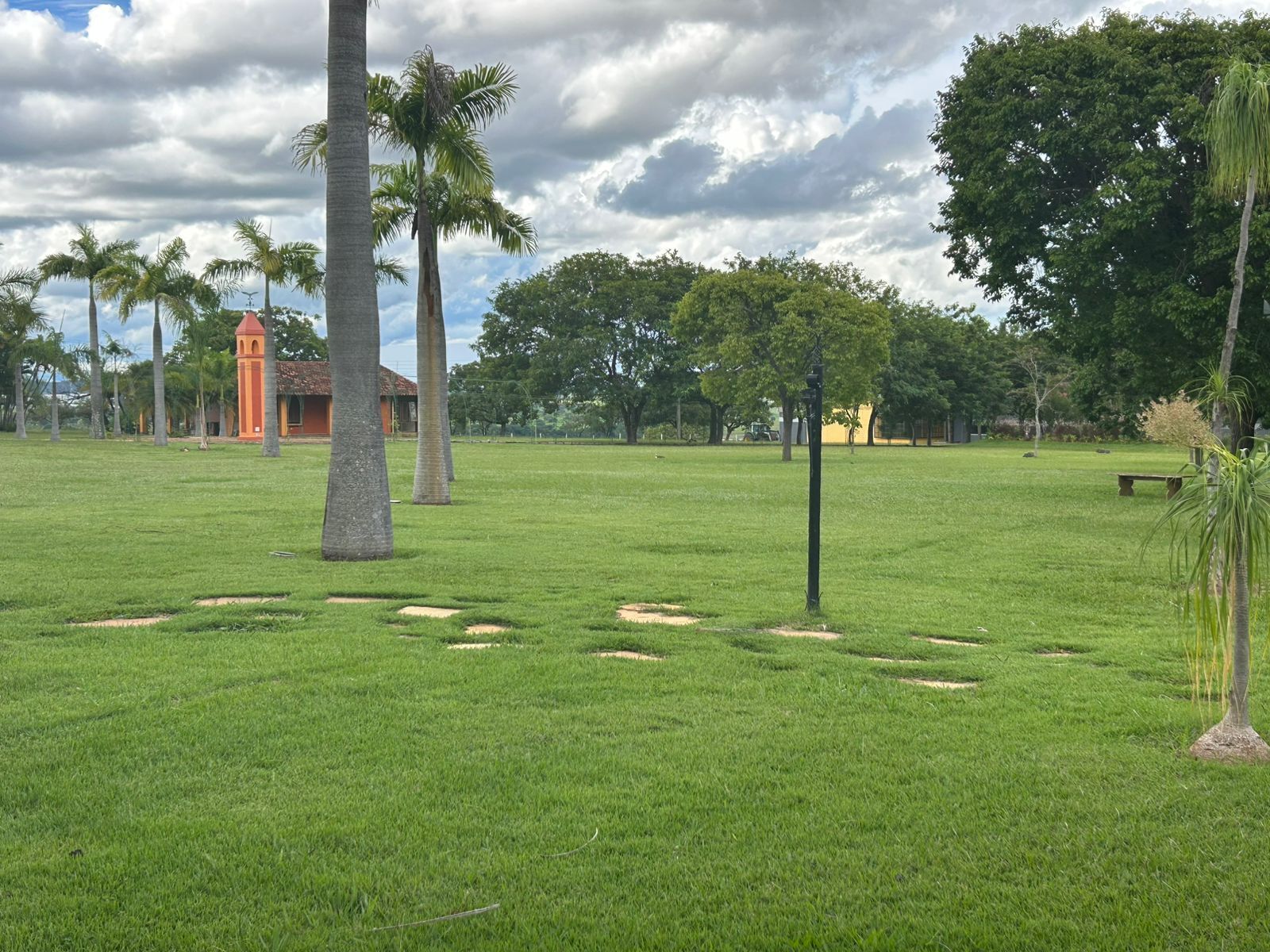A grassy field with palm trees and a red building in the background.