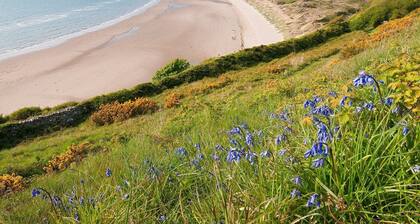 Recently refurbished historic family farmhouse | Allt-Goch